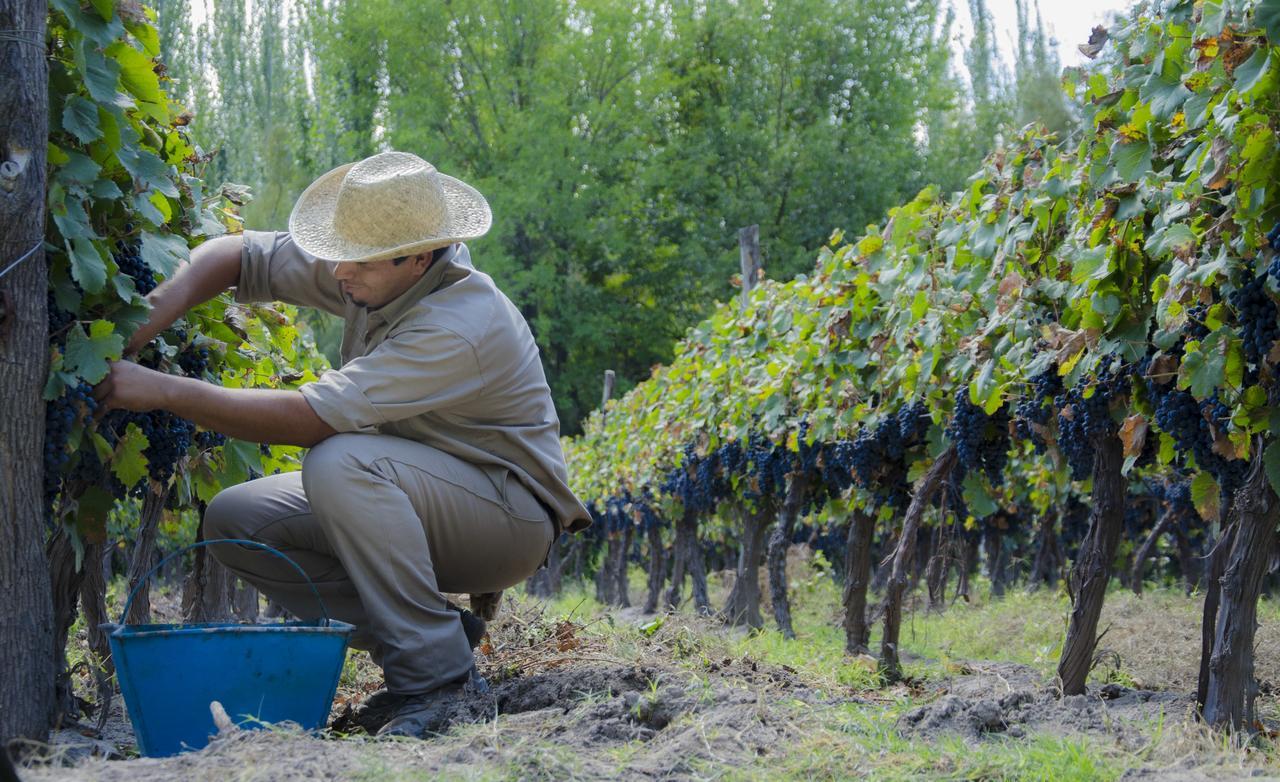 Postales Boutique Winery Hotel - Valle De Uco Colonia Las Rosas Luaran gambar