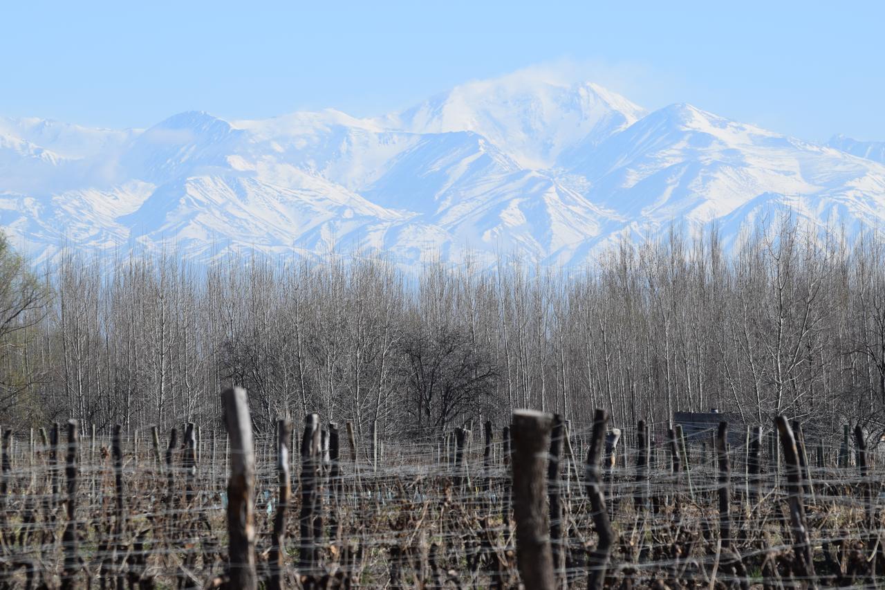 Postales Boutique Winery Hotel - Valle De Uco Colonia Las Rosas Luaran gambar