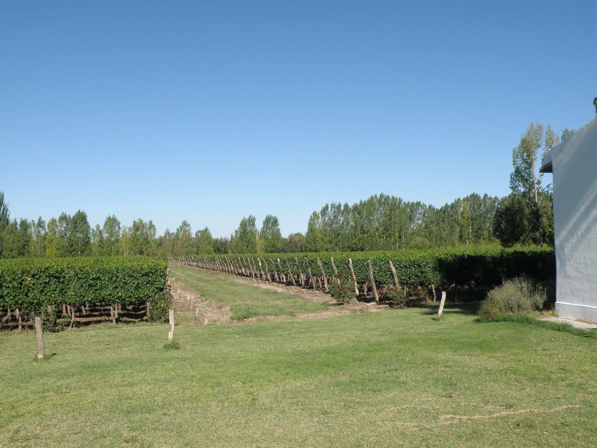 Postales Boutique Winery Hotel - Valle De Uco Colonia Las Rosas Luaran gambar