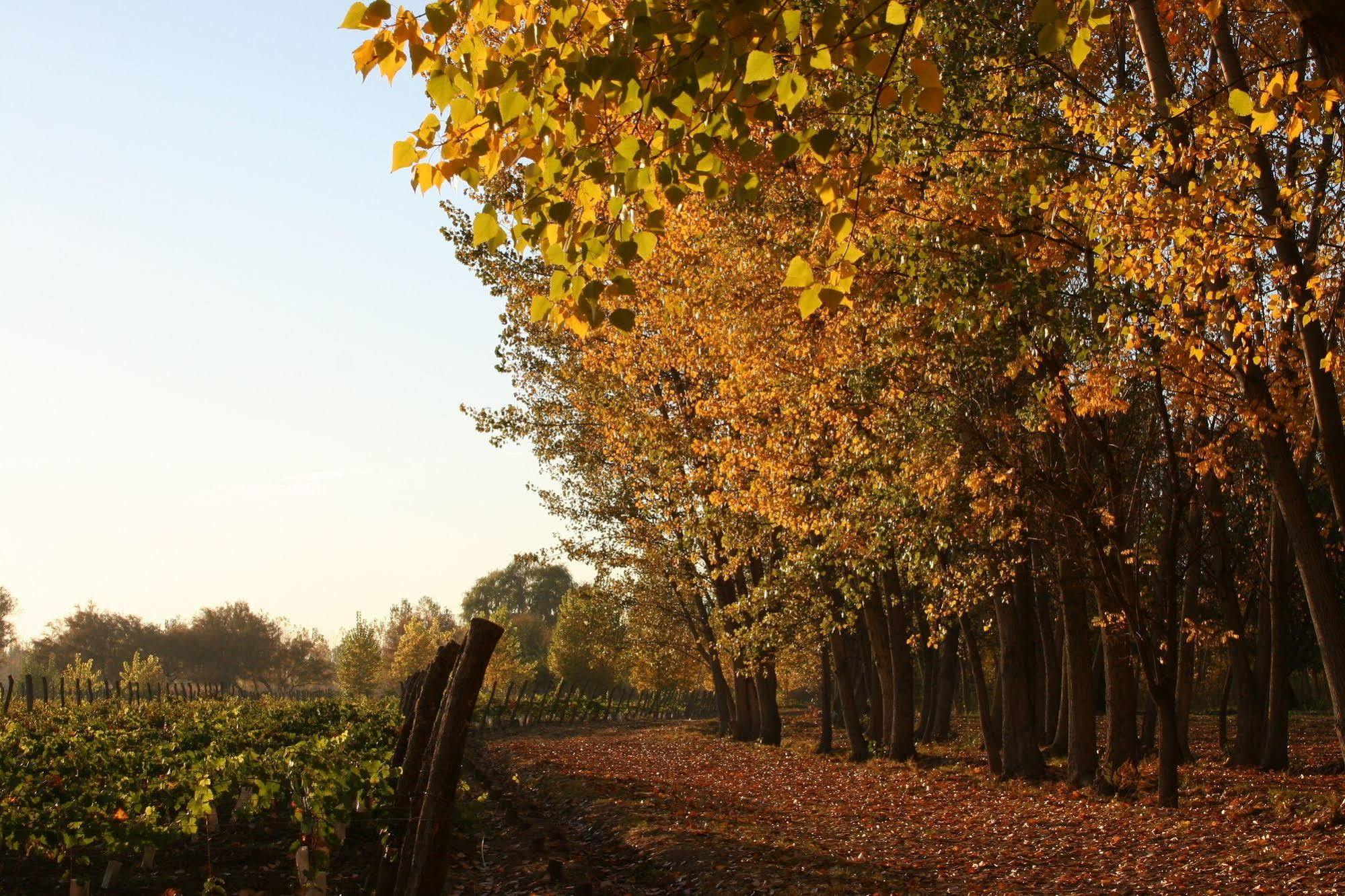 Postales Boutique Winery Hotel - Valle De Uco Colonia Las Rosas Luaran gambar
