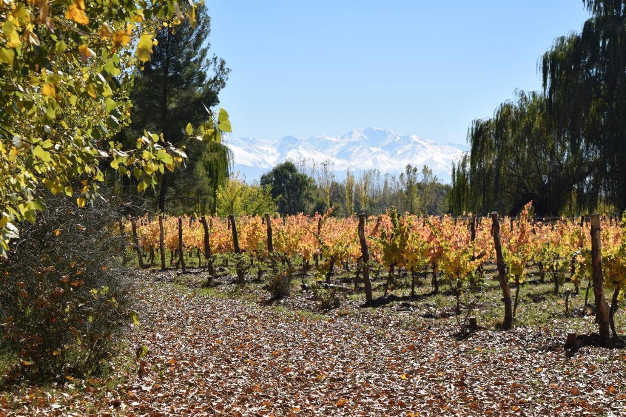 Postales Boutique Winery Hotel - Valle De Uco Colonia Las Rosas Luaran gambar