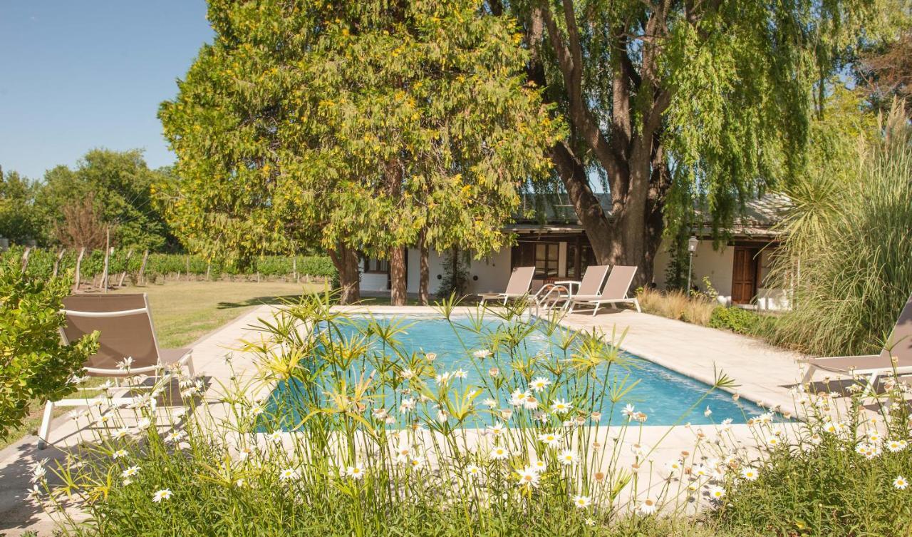 Postales Boutique Winery Hotel - Valle De Uco Colonia Las Rosas Luaran gambar
