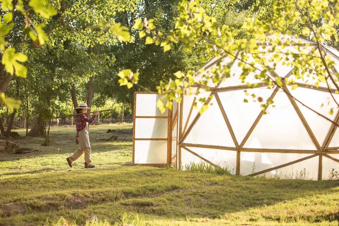 Postales Boutique Winery Hotel - Valle De Uco Colonia Las Rosas Luaran gambar